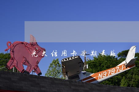 光大信用卡逾期呆账