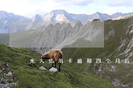 光大信用卡逾期四个月后果 光大信用卡逾期四个月后果