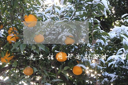 光大信用卡逾期四十天要紧吗 光大信用卡逾期四十天要紧吗