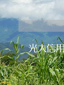 光大信用卡逾期四天能黑户吗