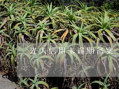 光大信用卡逾期备案 光大信用卡逾期备案