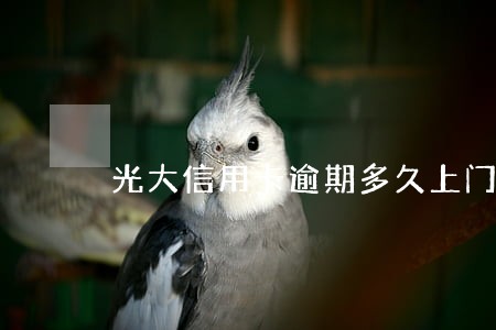 光大信用卡逾期多久上门催收 光大信用卡逾期多久上门催收