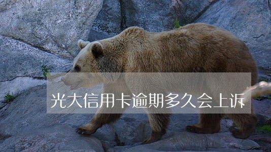 光大信用卡逾期多久会上诉