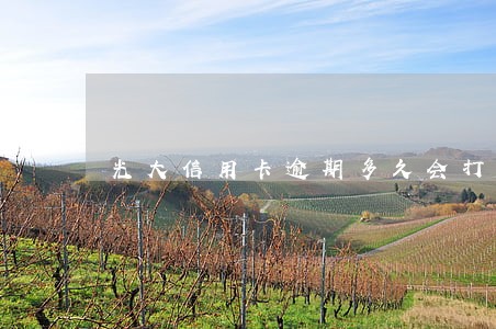 光大信用卡逾期多久会打电话 光大信用卡逾期多久会打电话