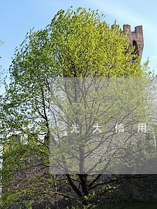 光大信用卡逾期多久会给家里人打电话 光大信用卡逾期多久会给家里人打电话