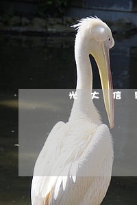 光大信用卡逾期多久会被停卡 光大信用卡逾期多久会被停卡