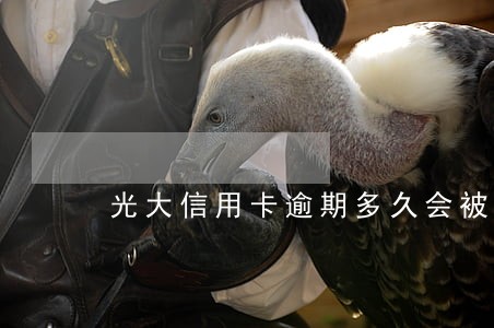光大信用卡逾期多久会被拘捕