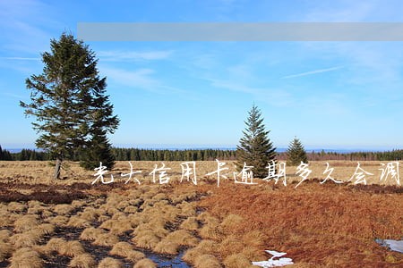 光大信用卡逾期多久会调降额度