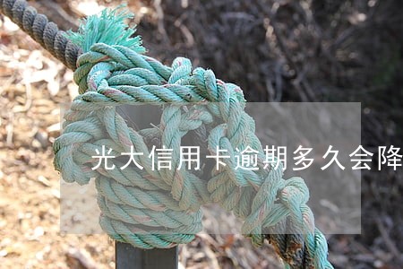 光大信用卡逾期多久会降额度 光大信用卡逾期多久会降额度