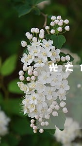 光大信用卡逾期多久催收