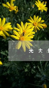 光大信用卡逾期多久封卡降额