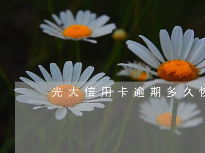 光大信用卡逾期多久恢复征信 光大信用卡逾期多久恢复征信