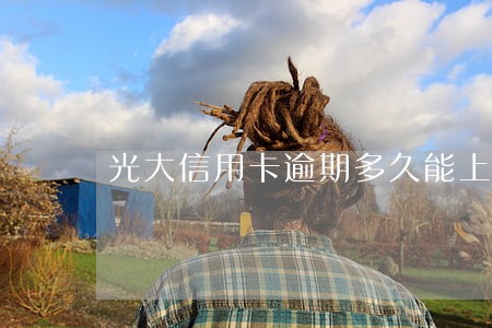 光大信用卡逾期多久能上门催款