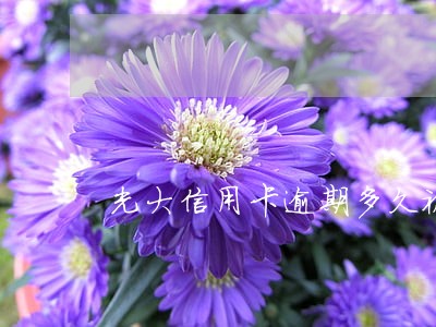 光大信用卡逾期多久被告 光大信用卡逾期多久被告