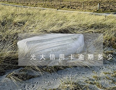 光大信用卡逾期多少天 光大信用卡逾期多少天