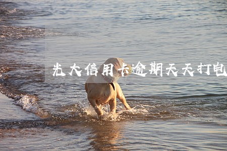 光大信用卡逾期天天打电话催促 光大信用卡逾期天天打电话催促