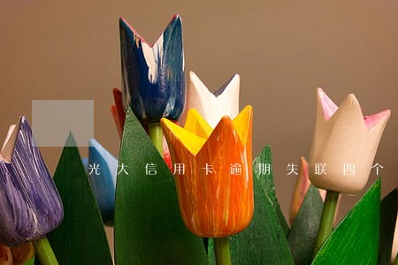 光大信用卡逾期失联四个月 光大信用卡逾期失联四个月