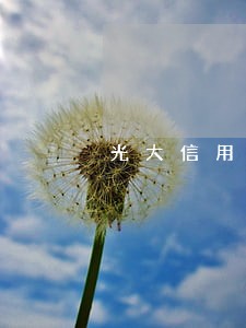 光大信用卡逾期好协商 光大信用卡逾期好协商