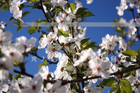 光大信用卡逾期如何收取滞纳金 光大信用卡逾期如何收取滞纳金