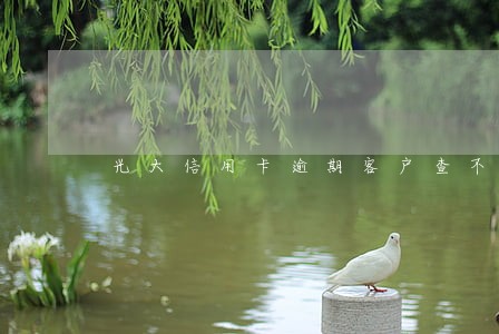 光大信用卡逾期客户查不到资料