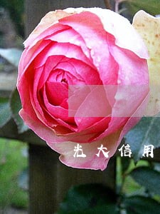 光大信用卡逾期归零 光大信用卡逾期归零