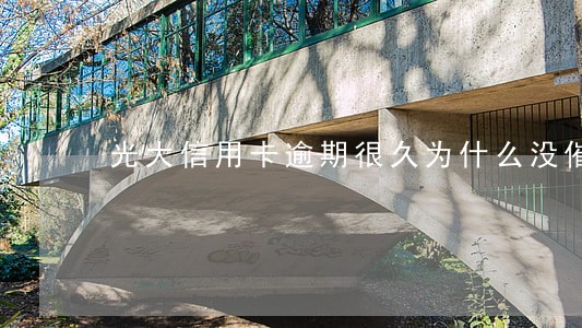 光大信用卡逾期很久为什么没催