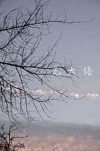 光大信用卡逾期律师函 光大信用卡逾期律师函