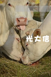 光大信用卡逾期快两个月了 光大信用卡逾期快两个月了