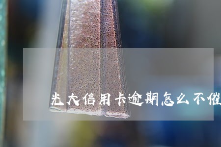 光大信用卡逾期怎么不催 光大信用卡逾期怎么不催