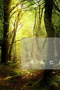 光大信用卡逾期怎么协商减免 光大信用卡逾期怎么协商减免