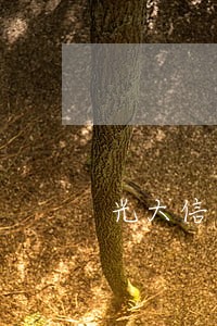 光大信用卡逾期怎么协商分期还款 光大信用卡逾期怎么协商分期还款
