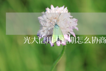 光大信用卡逾期怎么协商都不行 光大信用卡逾期怎么协商都不行