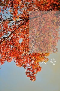 光大信用卡逾期怎么样协商分期还款 光大信用卡逾期怎么样协商分期还款