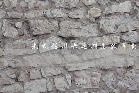 光大信用卡逾期怎么算费用 光大信用卡逾期怎么算费用