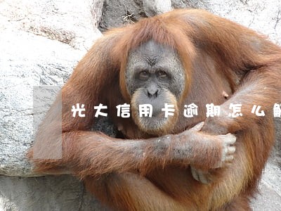 光大信用卡逾期怎么解锁 光大信用卡逾期怎么解锁