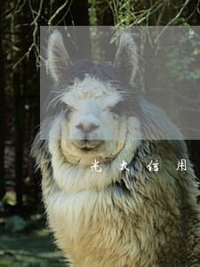 光大信用卡逾期总是打电话 光大信用卡逾期总是打电话