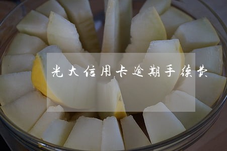 光大信用卡逾期手续费 光大信用卡逾期手续费