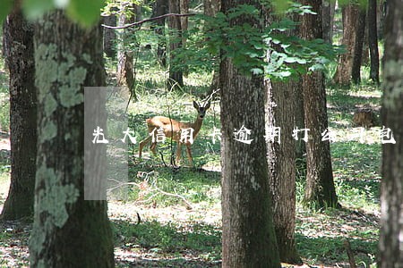 光大信用卡逾期打公司电话怎么办 光大信用卡逾期打公司电话怎么办