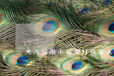 光大信用卡逾期打我家人电话 光大信用卡逾期打我家人电话