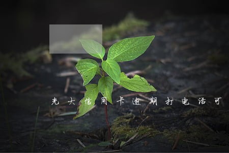 光大信用卡逾期打电话可以吗 光大信用卡逾期打电话可以吗
