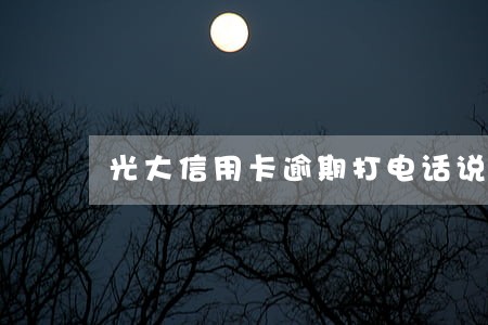 光大信用卡逾期打电话说立案 光大信用卡逾期打电话说立案