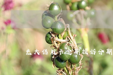 光大信用卡逾期投诉分期