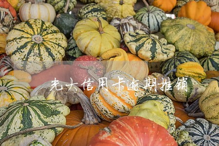 光大信用卡逾期推销
