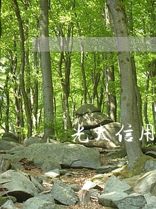 光大信用卡逾期提示