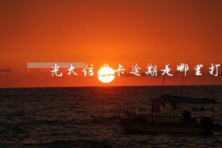 光大信用卡逾期是哪里打电话 光大信用卡逾期是哪里打电话