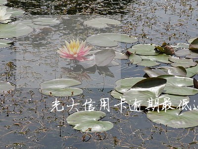 光大信用卡逾期最低还款变多了
