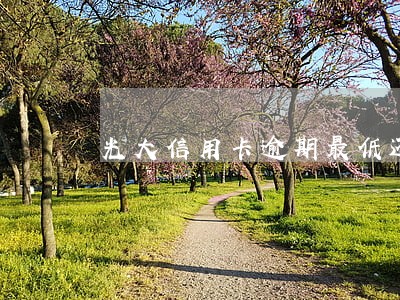 光大信用卡逾期最低还款还上了