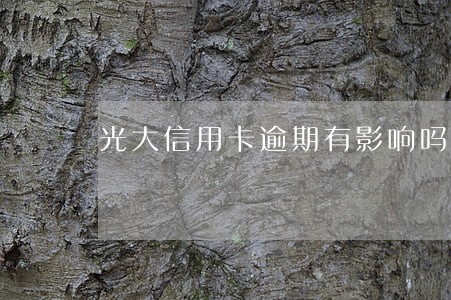光大信用卡逾期有影响吗 光大信用卡逾期有影响吗
