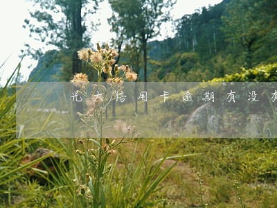 光大信用卡逾期有没有备用金 光大信用卡逾期有没有备用金