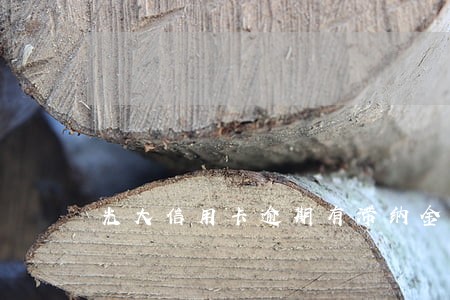 光大信用卡逾期有滞纳金吗